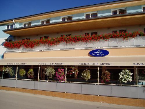 Penzion Anton Teplicka nad Vahom Bagian luar foto